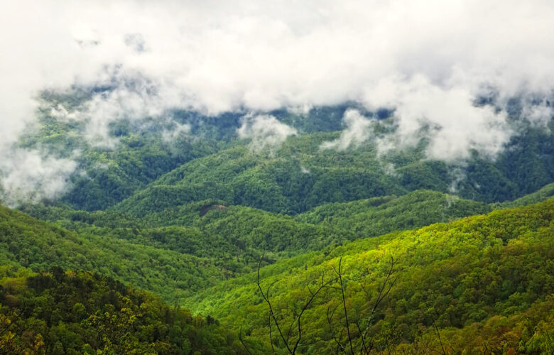 LH native Yale congratulates those who reach  accomplishment on Appalachian Trail like he did